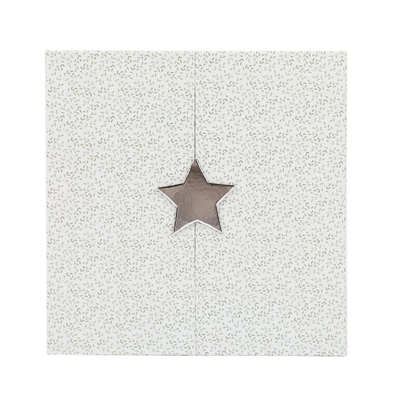 Christmas Star Gift Box XMAS TY-0043